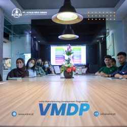 Training VMDP